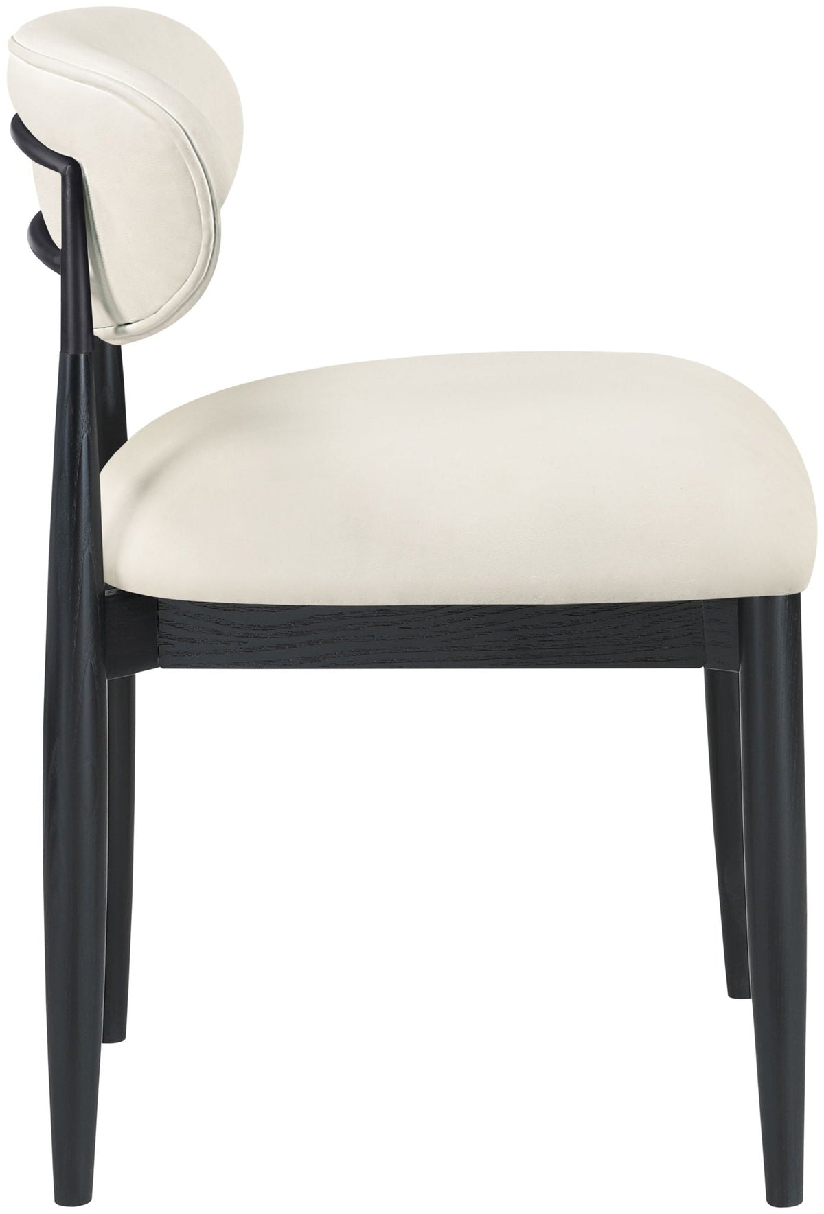 Riccio - Side Chair (Set of 2) - Black Frame