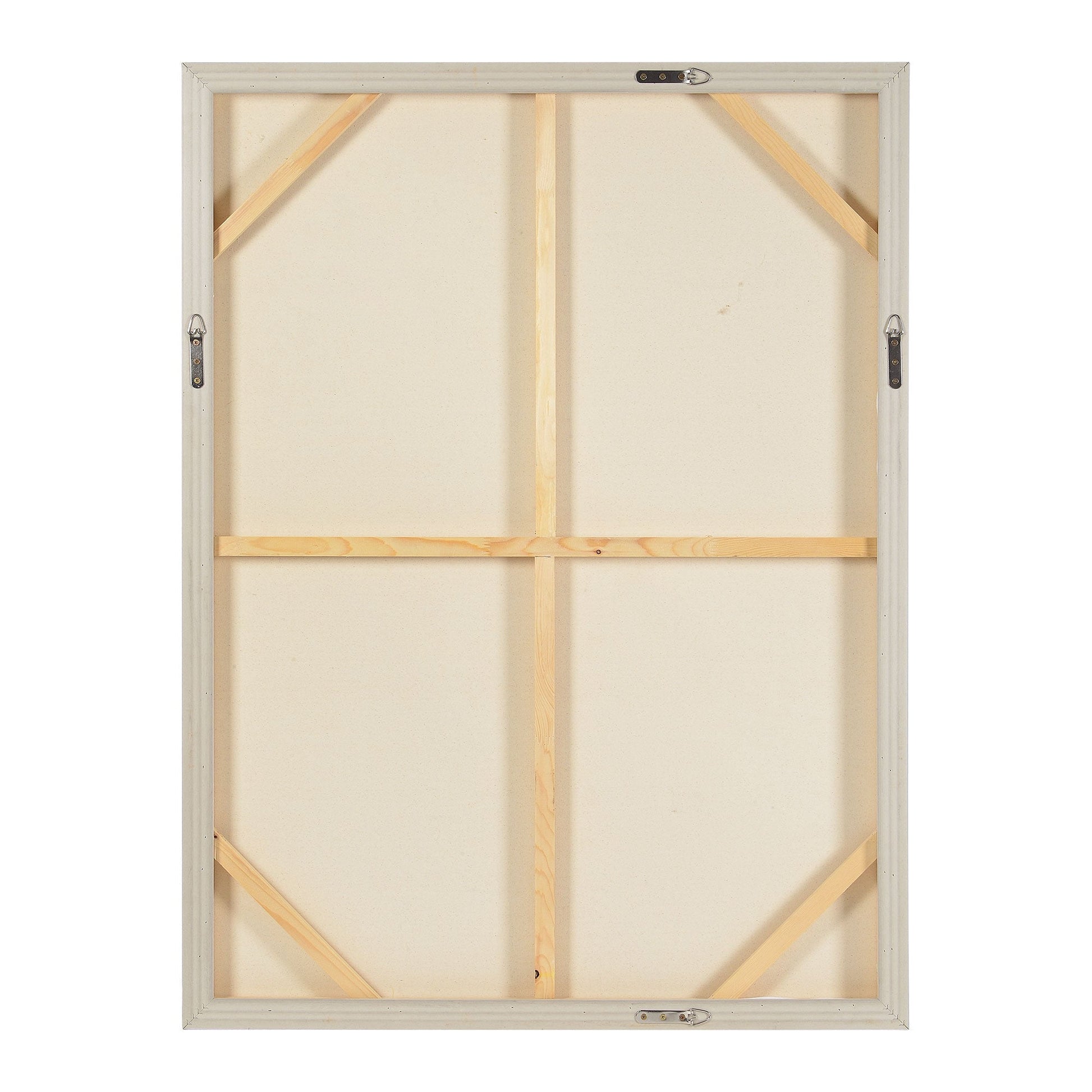 Antarctic Canvas Art - Furniture Depot