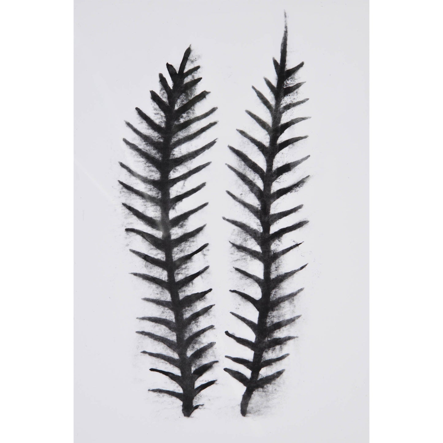 Elmdale Wall Art by Signature