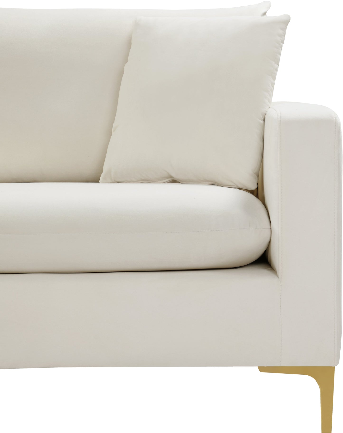 Naomi Velvet Sofa - Furniture Depot (7679008080120)