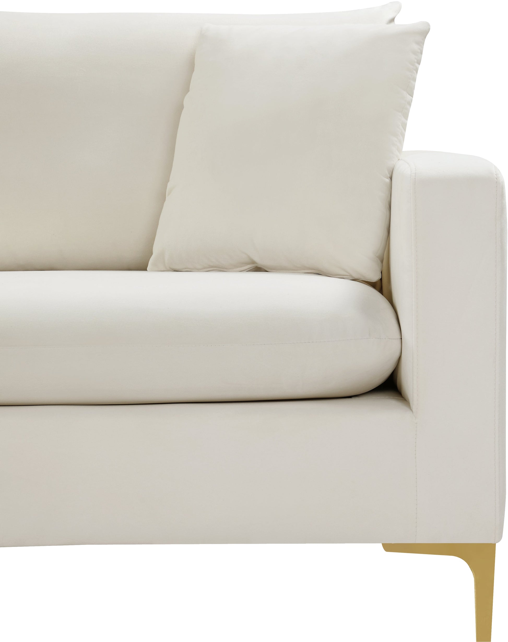 Naomi Velvet Sofa - Furniture Depot (7679008080120)