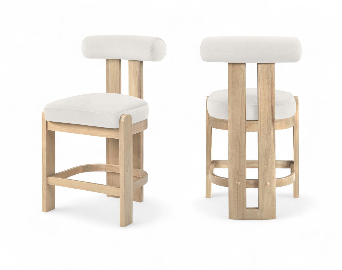 Arienzo - Velvet Performance Fabric Upholstered Counter Stool (Set of 2)