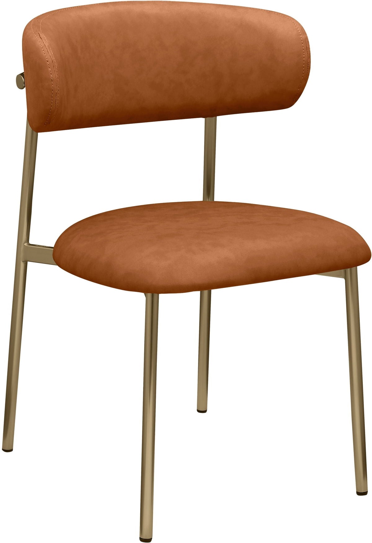 Lupita - Dining Chair With Brushed Gold Legs (Set of 2)