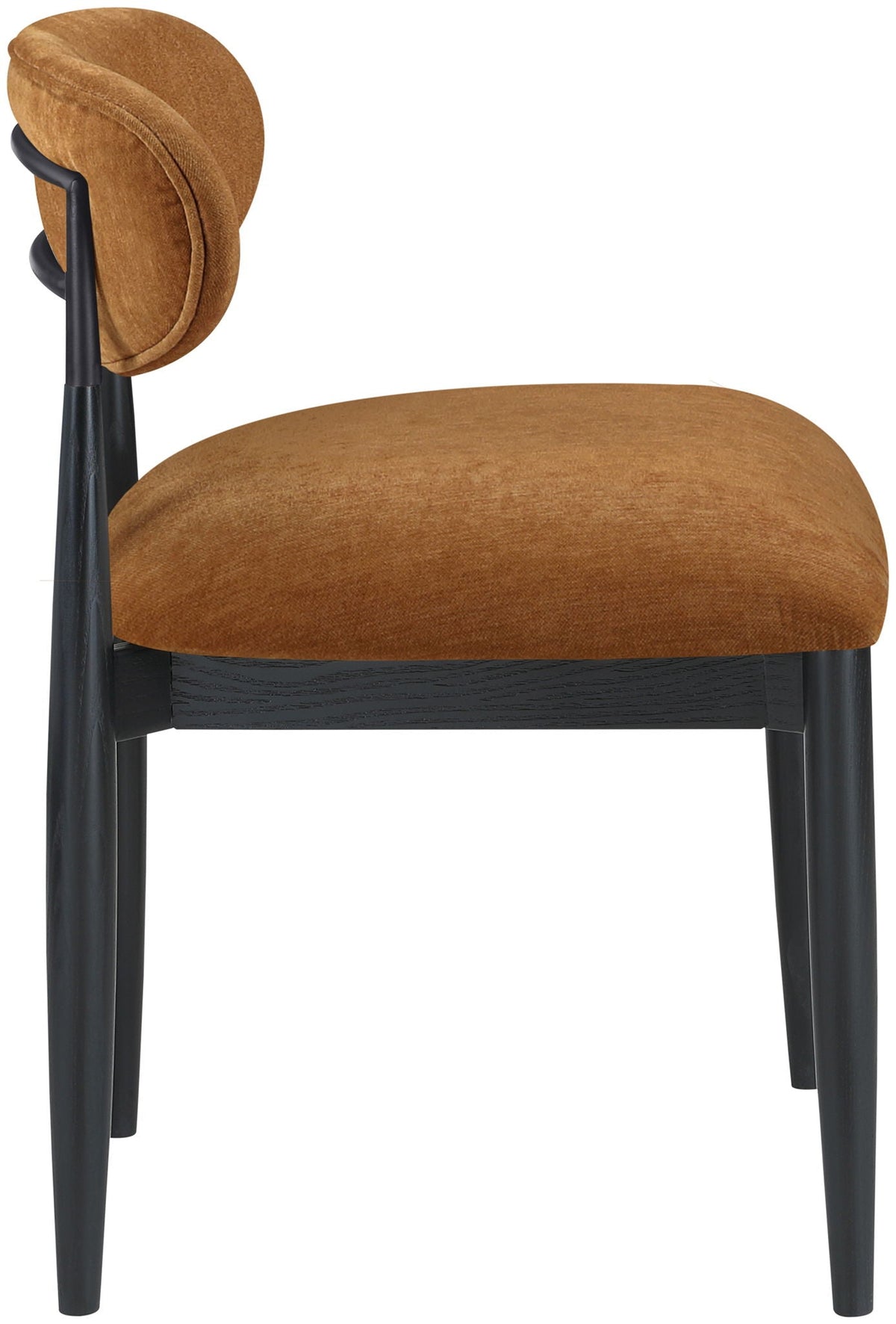 Riccio - Fabric Dining Side Chair (Set of 2) - Black Frame