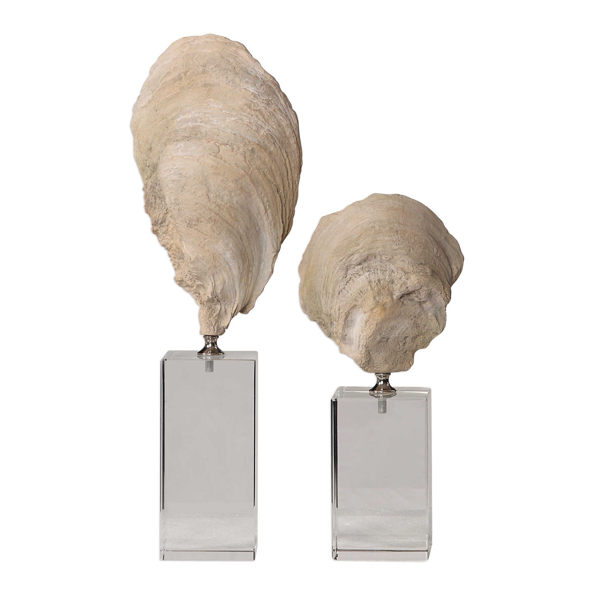 Oyster - Shell Sculptures (Set of 2) - Beige – waymor.ca