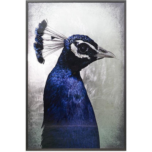 The Peacock 48" X 72" Charcoal Frame