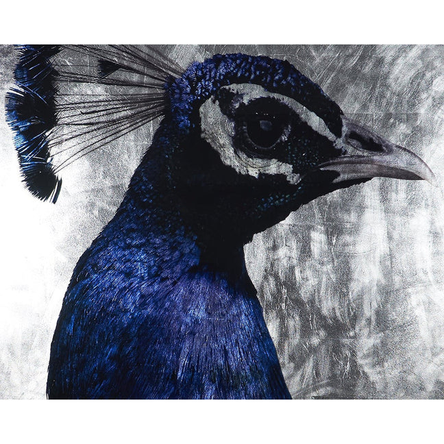 The Peacock 48" X 72" Charcoal Frame