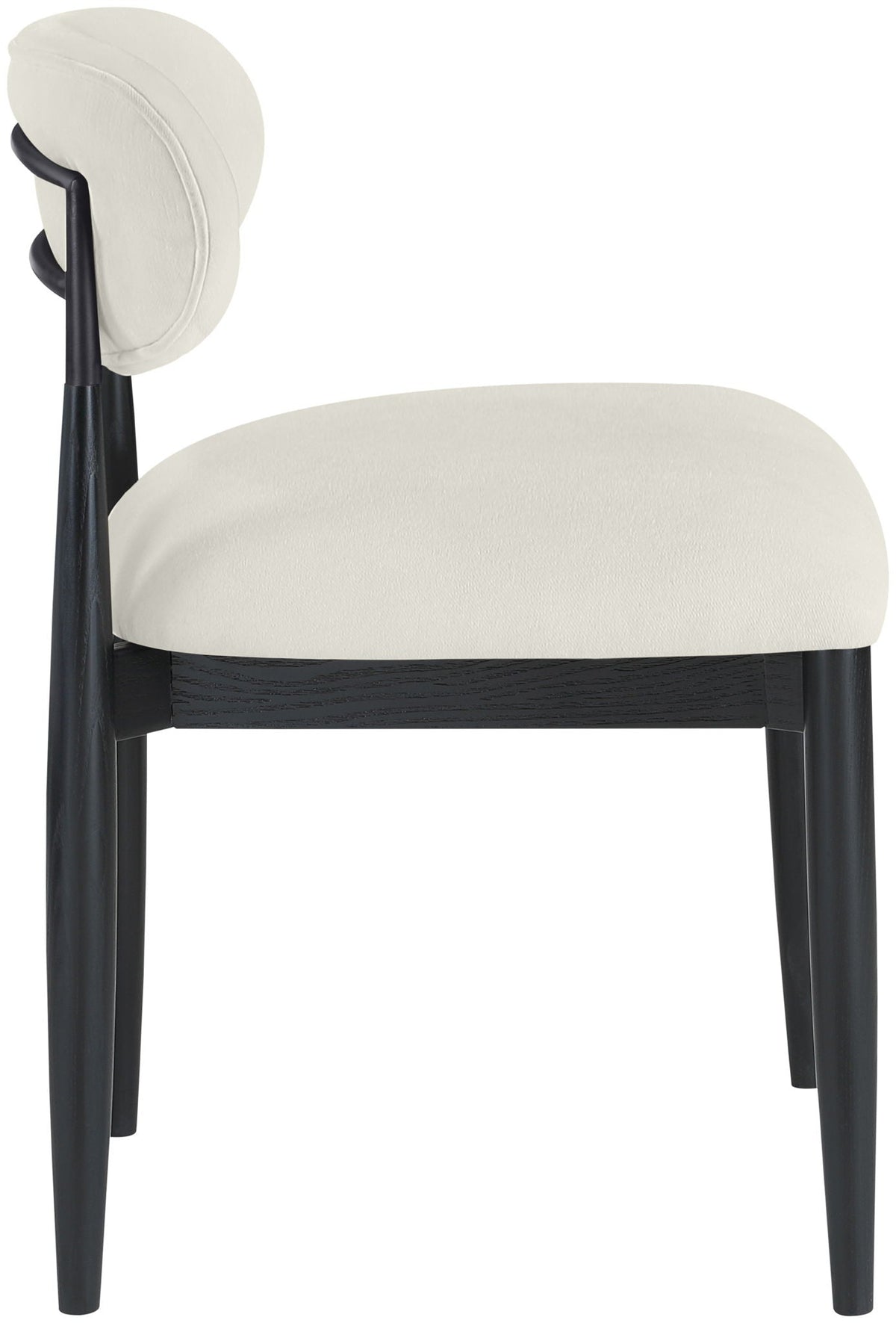 Riccio - Fabric Dining Side Chair (Set of 2) - Black Frame