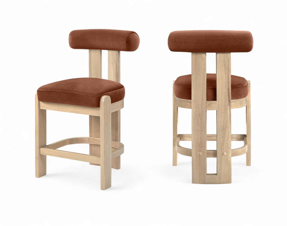 Arienzo - Velvet Performance Fabric Upholstered Counter Stool (Set of 2)