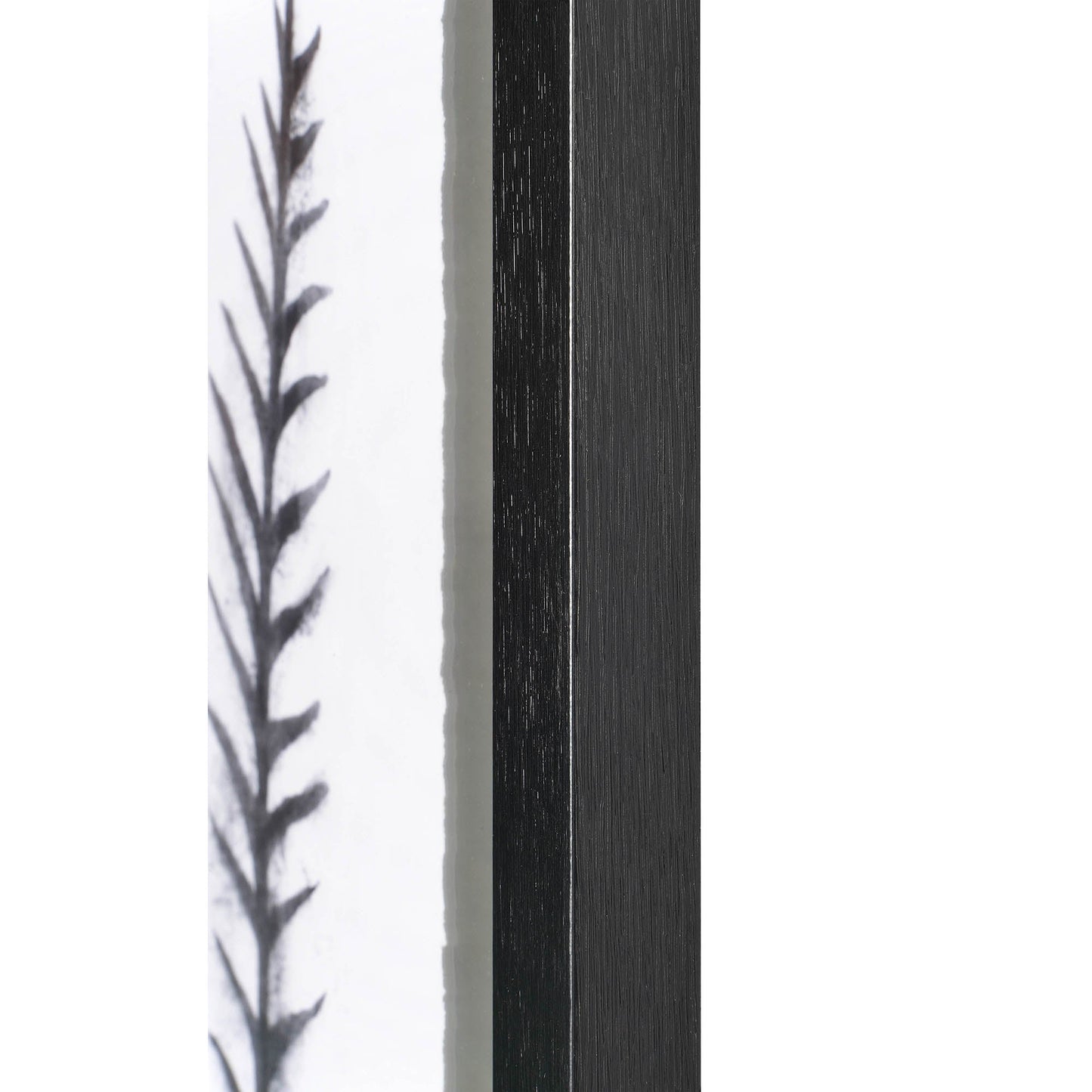 Elmdale Wall Art by Signature